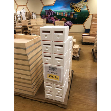 mini mating nucs