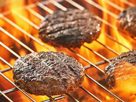 Beekeeper Appreciation BBQ (June 27, 2026 @ 11am to 2:00pm) FREE