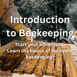 Beekeeping Classes in NB