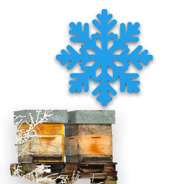 Winter Hive Prep Class